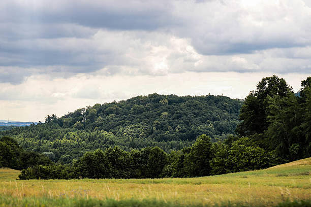 istock Wide Open Nature Fields and Forest Beneath the Sky 2223186157