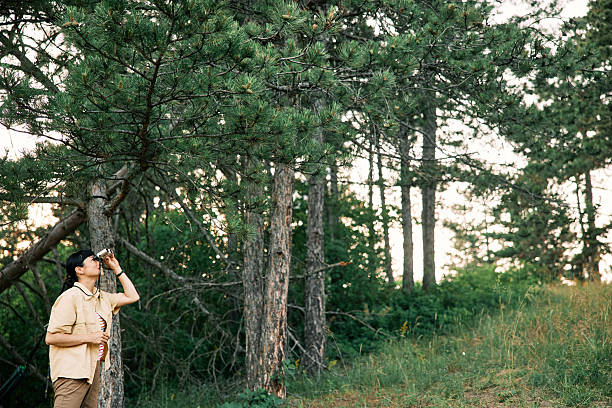 A Japanese woman stands in a lush forest, using binoculars for bird watching. The tranquil scene features tall trees, greenery, and soft natural lighting.