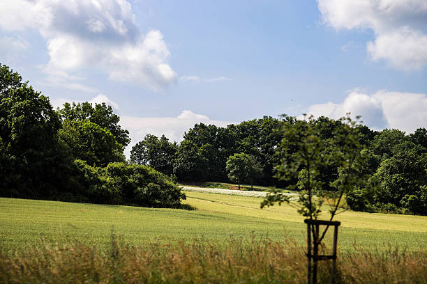 istock Wide Open Nature Fields and Forest Beneath the Sky 2223188112