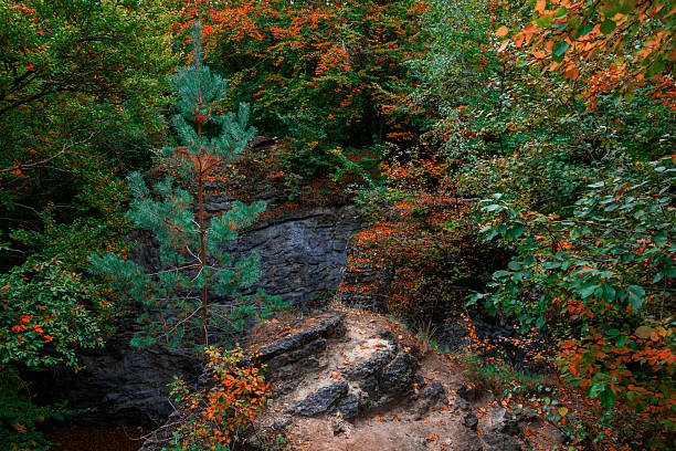 nature landscape autumn forest rocks in woods cold wilderness environment space with September colors and cold stone season specific
