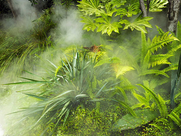 Green Plants in The Fog