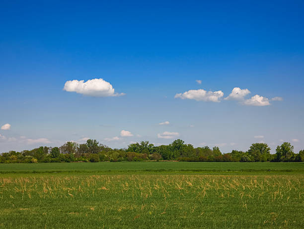 istock Green meadow stretching under a cloudy blue sky copy space 2223198973