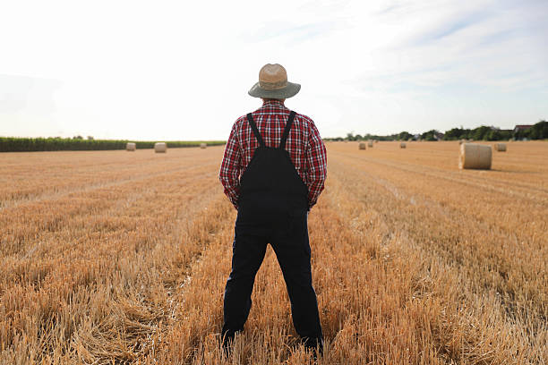 istock Farmer Standing Proudly in Harvested Field, Rear View 2223201047