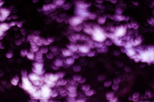 istock Purple Bokeh Abstract of Natural Light Filtering Through Leaves 2223202961