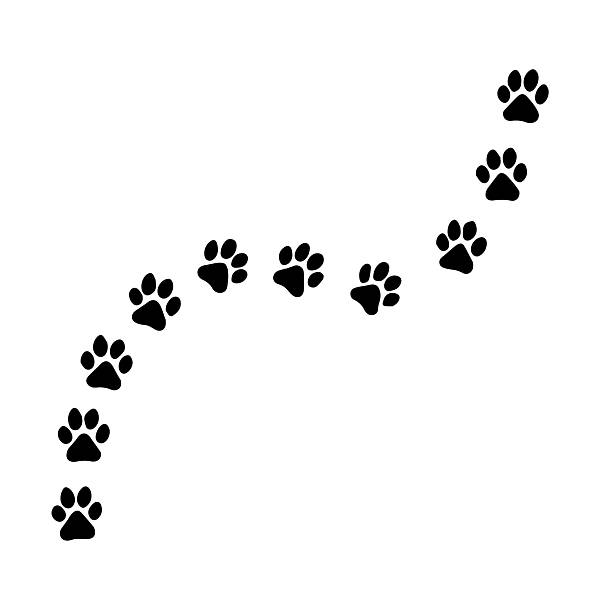 istock dog paw trail border silhouette design isolated on white 2223206449