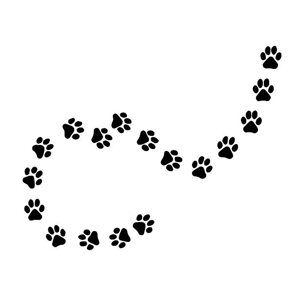 istock dog paw trail border silhouette design isolated on white Vector illustration 2223206755
