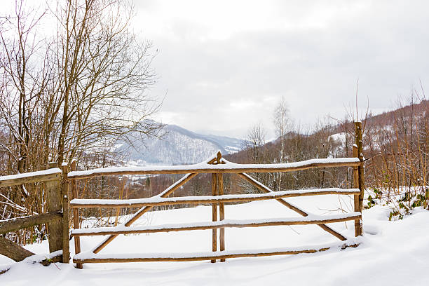 istock countryside landscape in winter 2223212382