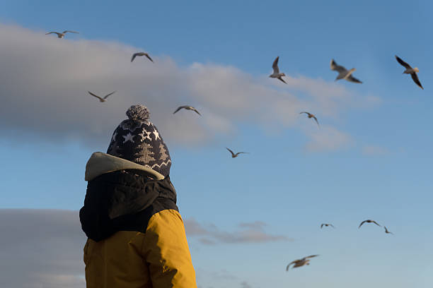 A child on a winter or autumn day near the water looks at the seagulls