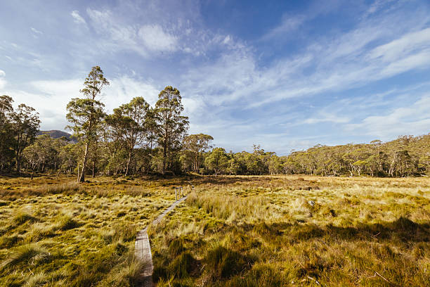 istock Arm River Track in Tasmania Australia 2223215204