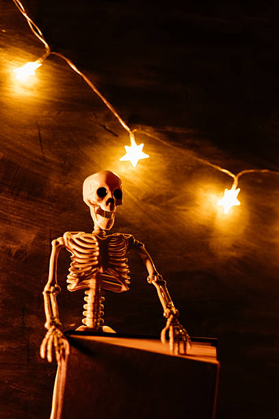 istock Halloween Stories.Skeleton on Book with Halloween Lights.Skeleton with Star String Lights for Halloween. 2223215401