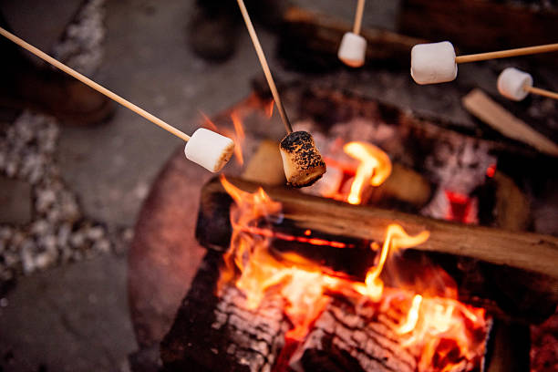 istock Marshmallows roasting on skewers over bright campfire flames and glowing coals 2223218496