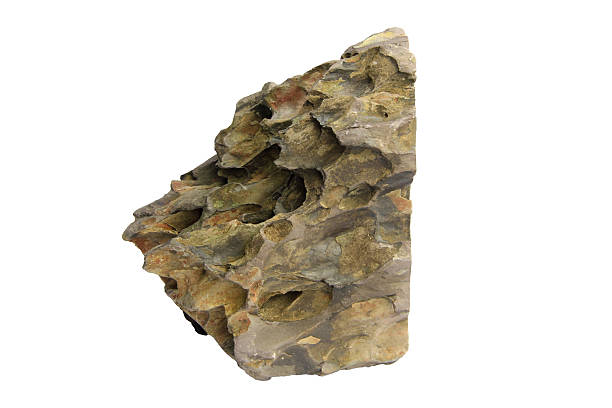 istock Vertical dragon stone fragment with a pointed tip and layered details isolated on a white background with clipping path 2223221048