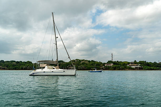 istock A white catamaran sails on a blue sea against a cloudy sky. luxury sailing boat, 2223221632
