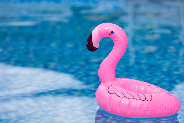 istock Pink flamingo float in swimming pool 2223224021