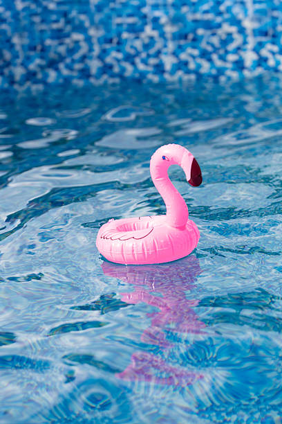 istock Pink flamingo float in swimming pool 2223224023