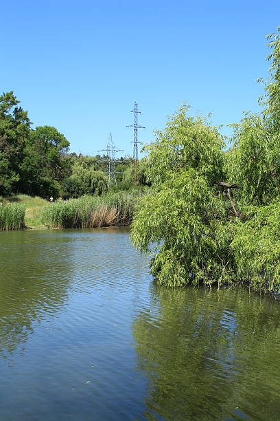 istock A body of water with trees around it 2223226268