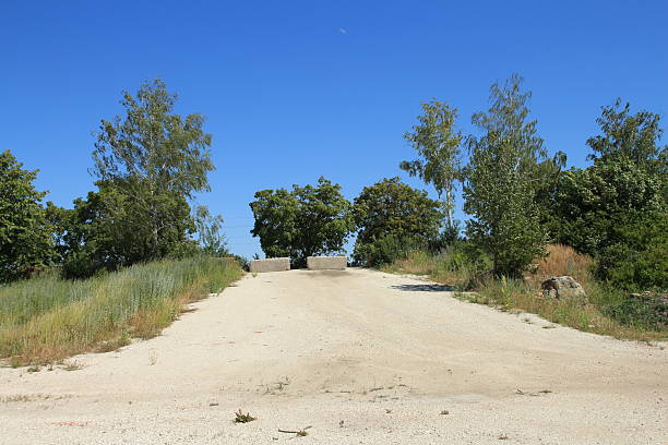 A dirt road with trees on the side. Tree. Outdoor. Sky. Ground. Road