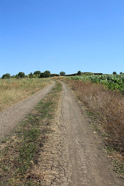 A dirt road in a field. Grass. Outdoor. Sky. Road. Ground