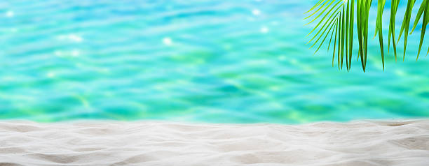 istock palm leaf at sand beach with turquoise blurred sea water background, abstract summer beach backdrop with copy space for product display for travel, vacations or beauty spa 2223226880