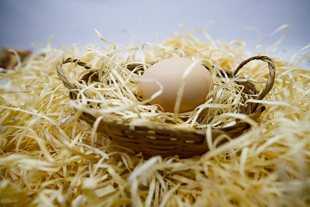 Free-range chicken eggs from the countryside