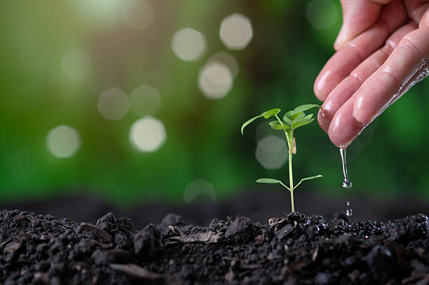 istock Earth day concept. Drop water on hand for growing tree. Protect the environment 2223231917