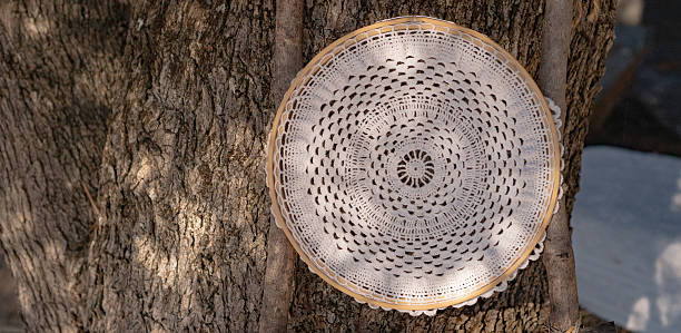 Round Crochet Doily Displayed on Tree Trunk Outdoors