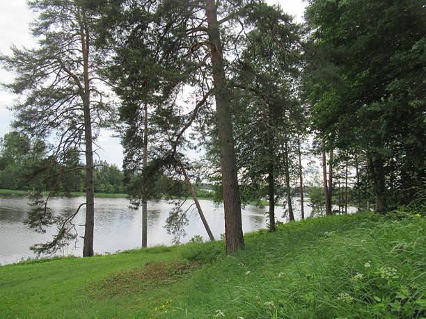 istock The river is visible behind the trunks of the trees 2223233730