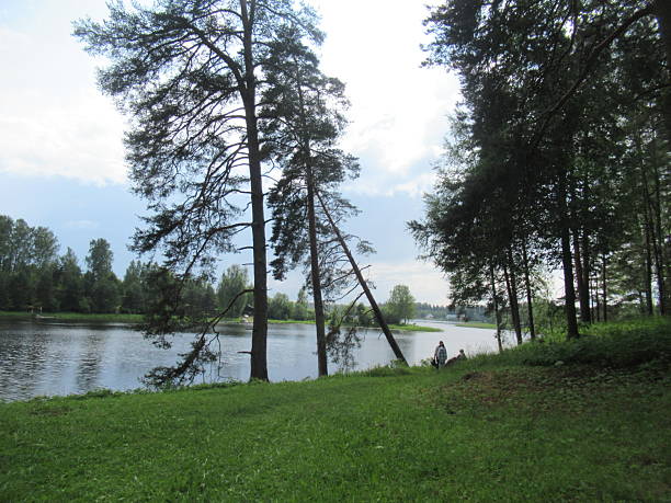 istock The river is visible behind the trunks of the trees 2223233822