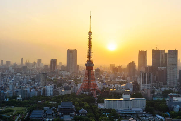 istock Tokyo tower in top view with skyscrape building at sunset 2223234996