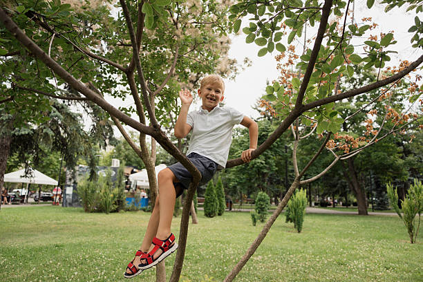 istock Happy boy playing in the park, climbing a tree and smiling 2223235452