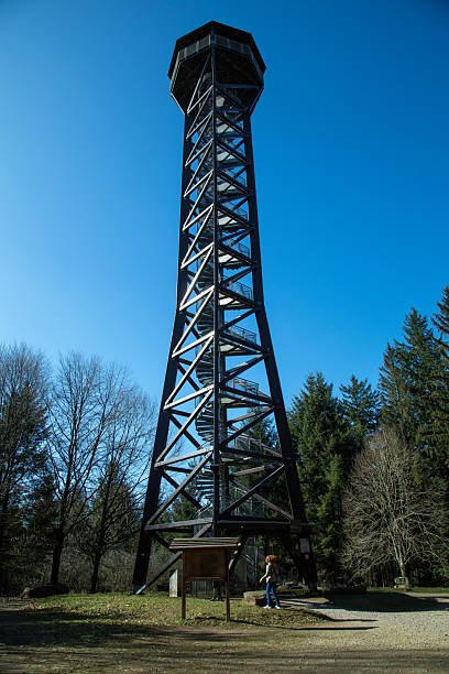 istock Observation Tower rises above the trees in the forest, resting its top on the blue sky 2223236703