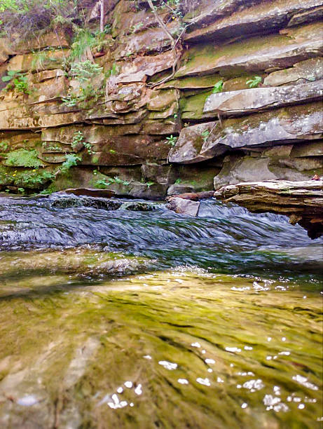 istock Mountain river in a canyon among rocks on a sunny day 2223236877