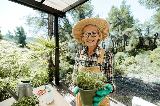 istock Smiling mature woman posing for camera while gardening at her back yard patio 2223237823