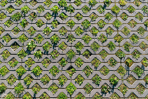 Patterned concrete grid with green grass and plants growing through openings.