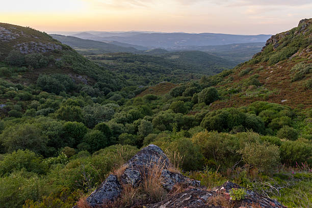 A mountain range with a lush green valley below. The sky is a mix of blue and white, with a few clouds scattered. The scene is peaceful and serene, with the mountains