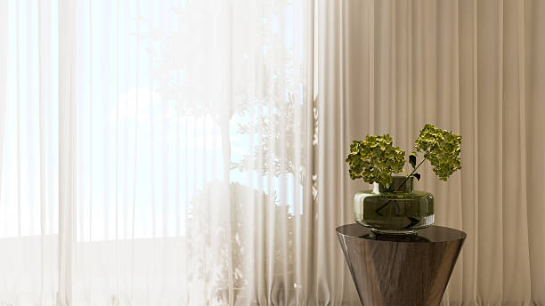 istock Empty room interior background, white courtain, pot with plant near the window, 3d rendering 3d illustration 2223240823