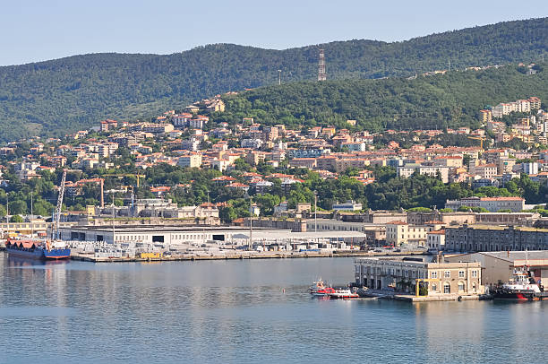 istock Trieste marina aerial view from from cruise ship. 2223245482