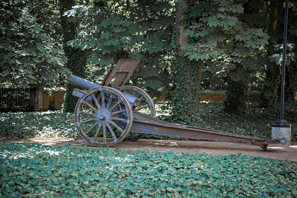 istock Old Cannon artillery gun mortar howitzer 2223246774
