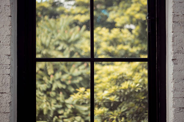 View through a window showing lush green foliage and tree branches outside, capturing a peaceful and natural atmosphere from indoors