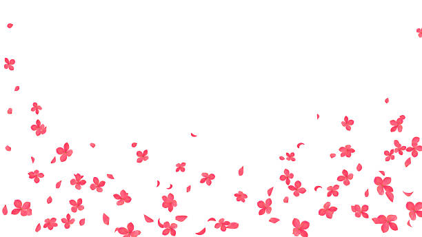 istock Hydrangea flowers and petal design template background for wedding invitation, greeting card 2223252882