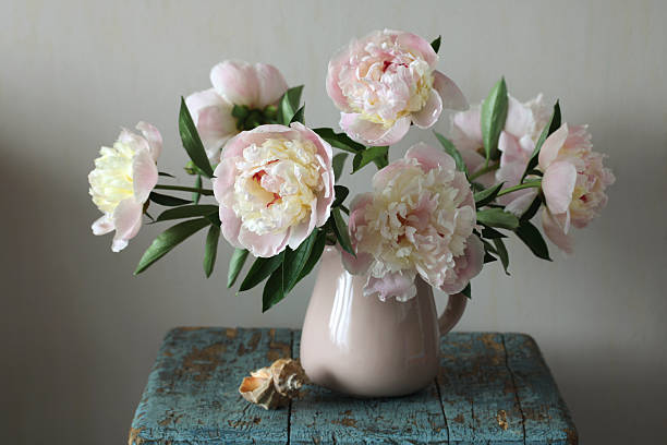 istock Pink and white peonies blooming in a vase on rustic table 2223254205