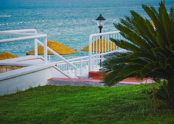 Scenic view of a staircase leading down to the seaside, with straw beach umbrellas, a palm plant in the foreground, and turquoise water in the background. Captured in natural daylight, this tranquil vacation setting is perfect for travel, summer, and resort-themed content. No people, clean composition, and a relaxing Mediterranean vibe.