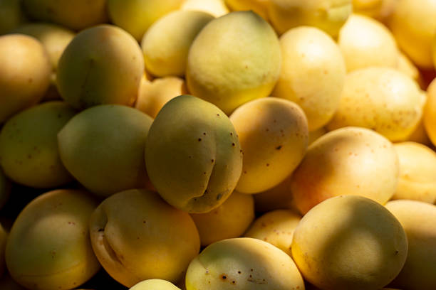 Dried Fruits - dried apricots AND FİGS.