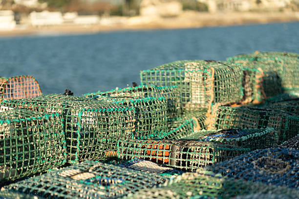 istock Numerous Crab Traps Stacked Along the Dock by the Water at Sunset 2223261165