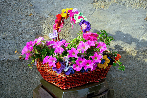 flowers in vendersi fraction of Val Borbera in the municipality of Albera Ligure Alessandria Italy
