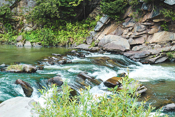 Flowing river cascades over rocks in a tranquil natural setting during daylight