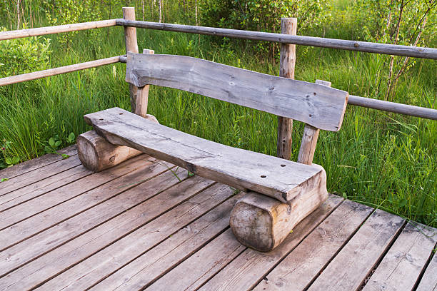 Bench & Ivy in Seonyoodo Park, Korea
