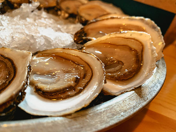 istock Fresh East Coast Oysters on the Half Shell 2223264419