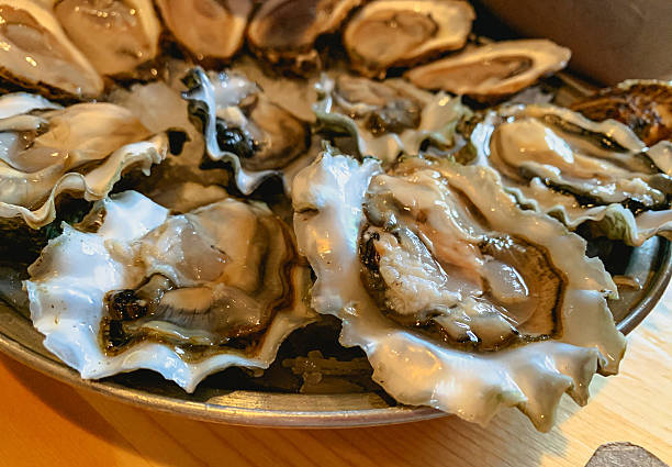 istock A Variety of Fresh Oysters on the Half Shell 2223264421