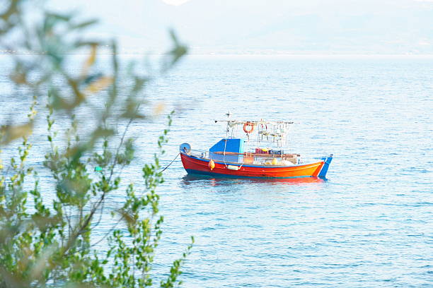 A vividly colored traditional fishing boat in a calm gulf of northern Euboea.